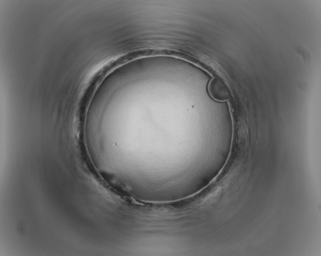 X0000114060979200910191457