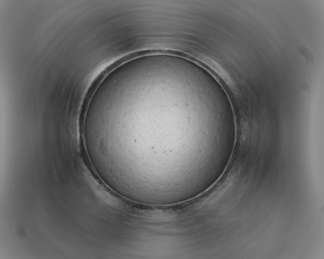 X0000114060980200910191457