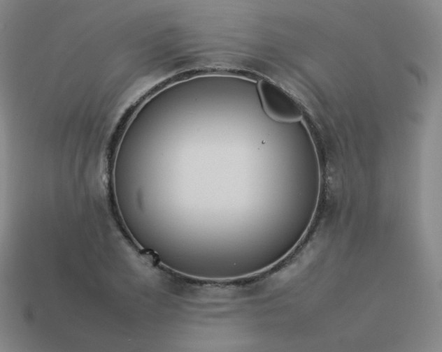 X0000114060981200910191457