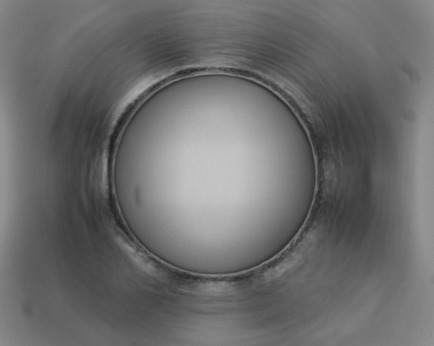 X0000114060982200910191457