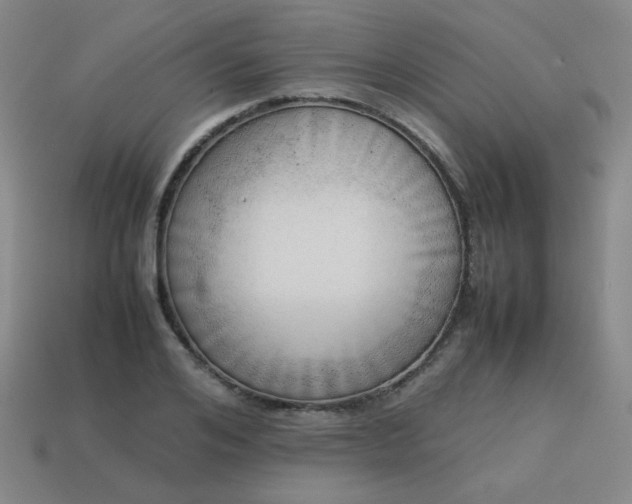 X0000114060984200910191457