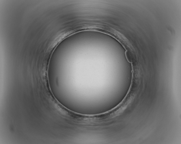 X0000114060985200910191457