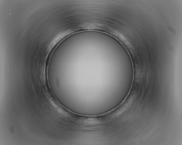 X0000114060986200910191457