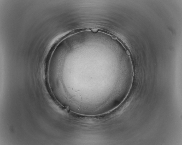 X0000114060987200910191457