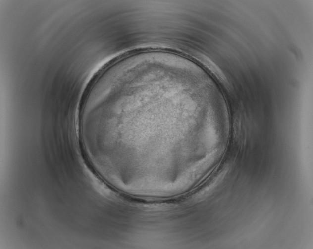 X0000114060988200910191457