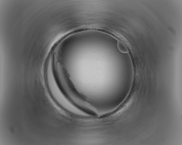 X0000114060989200910191457