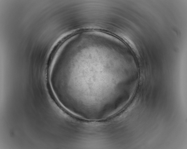 X0000114060992200910191457