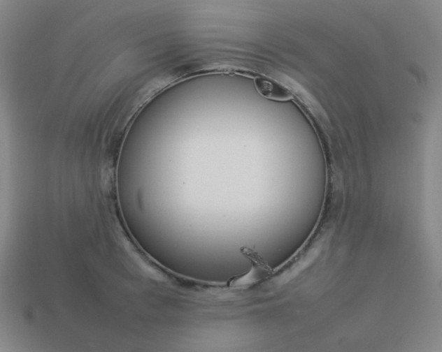 X0000114060993200910191457