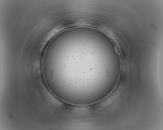 X0000114060997200910191457