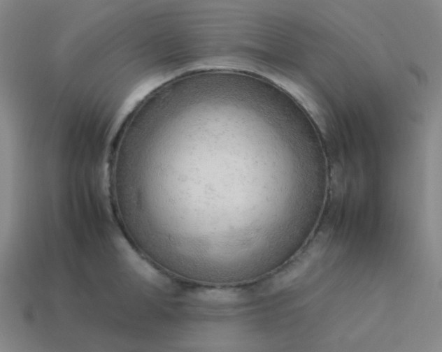 X0000114060998200910191457