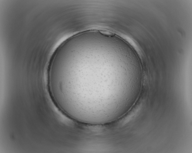 X0000114060999200910191457