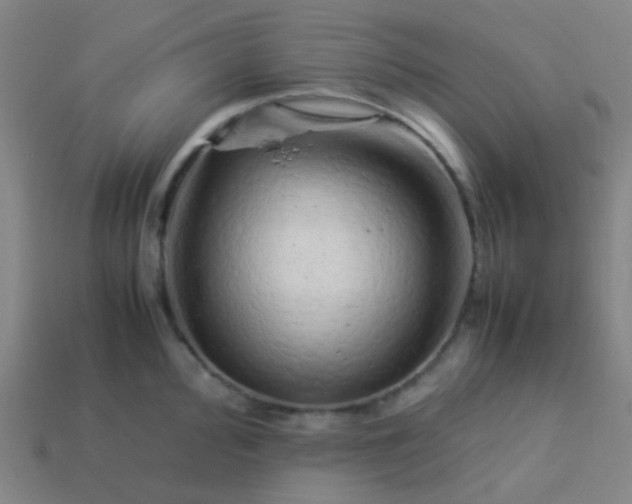 X0000114061000200910191457