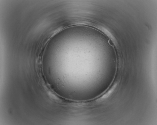 X0000114061001200910191457