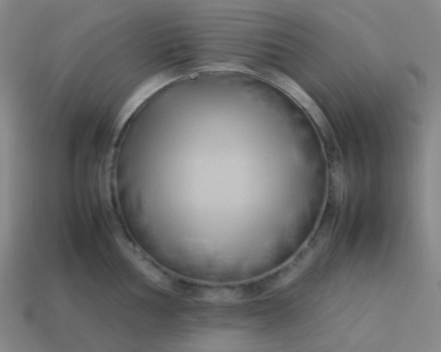 X0000114061002200910191457