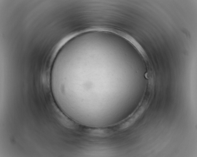 X0000114061004200910191457