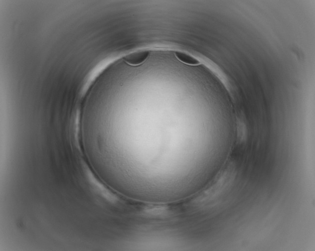 X0000114061006200910191457