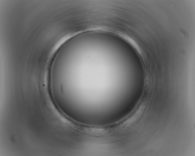 X0000114061007200910191457