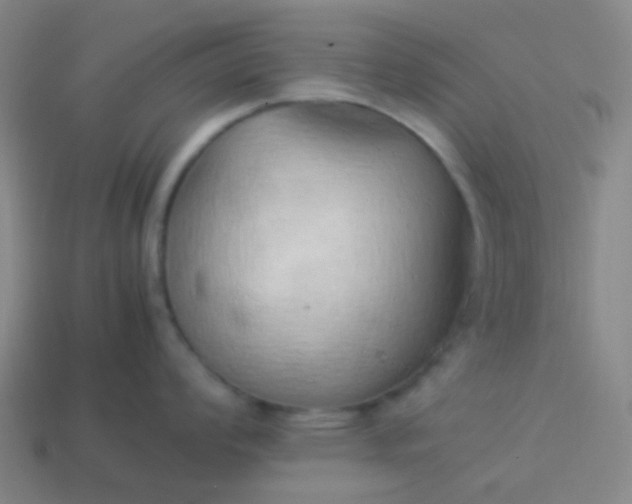 X0000114061008200910191457