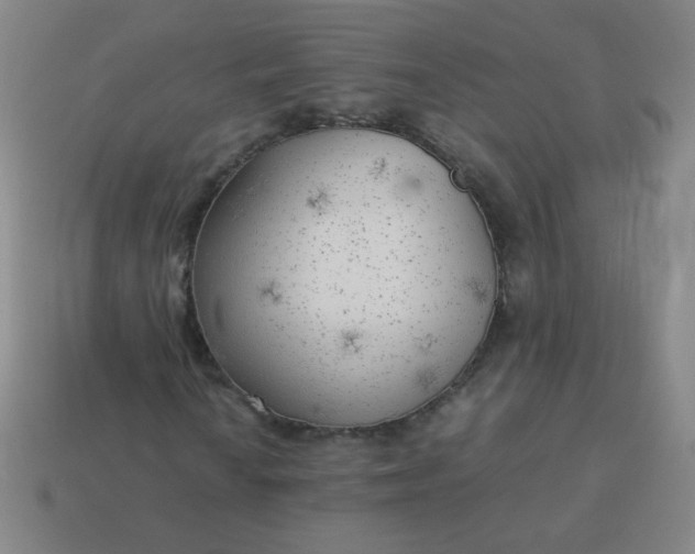 X0000114061010200910191456