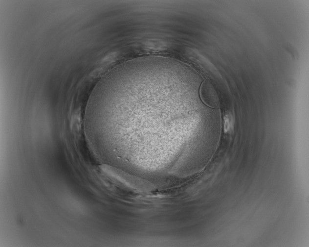 X0000114061011200910191456