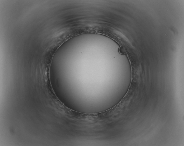 X0000114061013200910191456