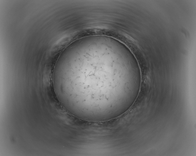 X0000114061014200910191456