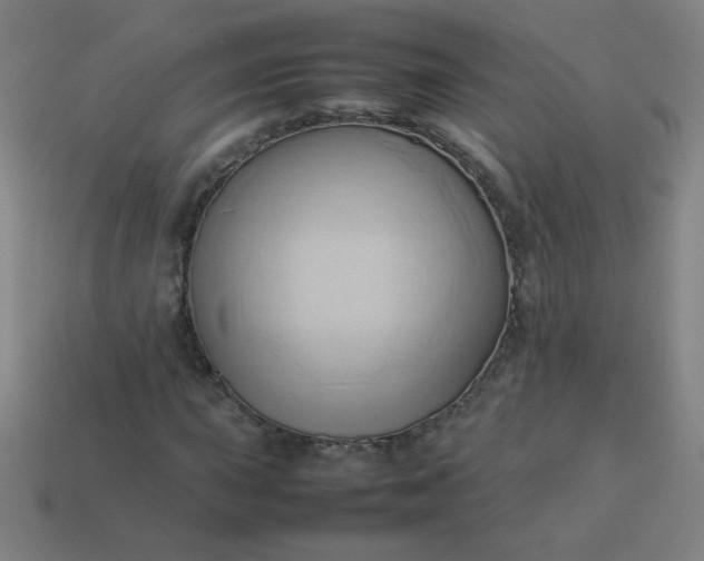 X0000114061015200910191456