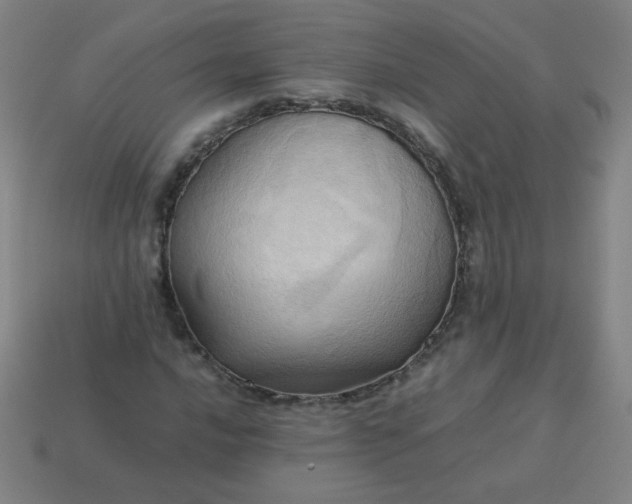 X0000114061016200910191456