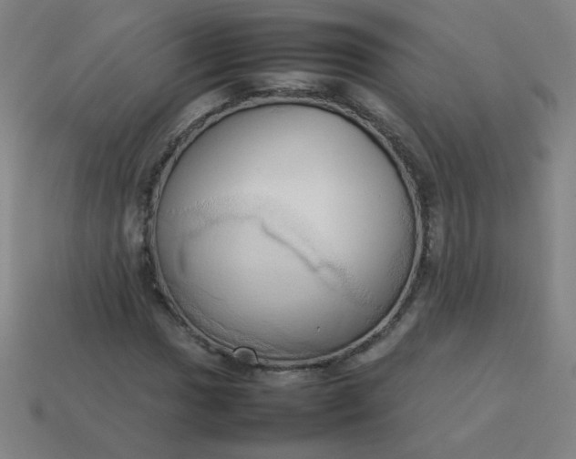 X0000114061017200910191456