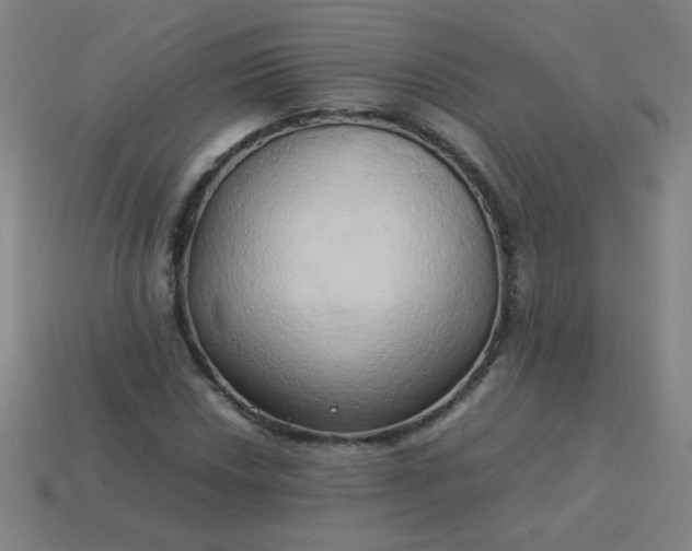 X0000114061018200910191456