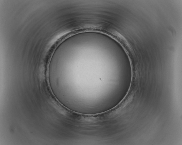 X0000114061019200910191456