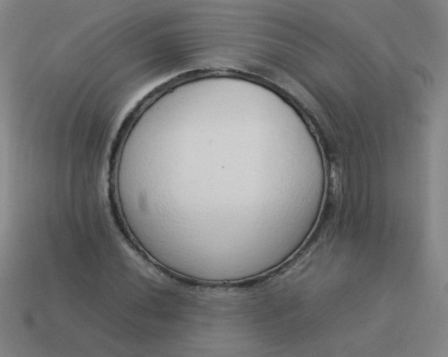 X0000114061020200910191456