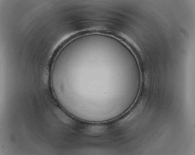 X0000114061021200910191456