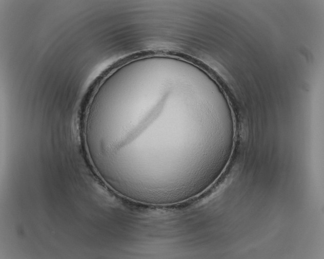 X0000114061022200910191456