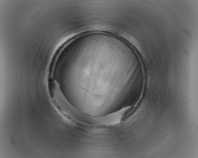 X0000114061024200910191456