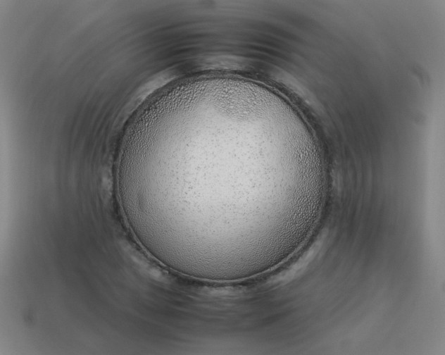 X0000114061025200910191456