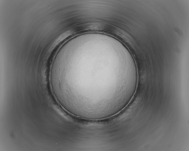 X0000114061026200910191457