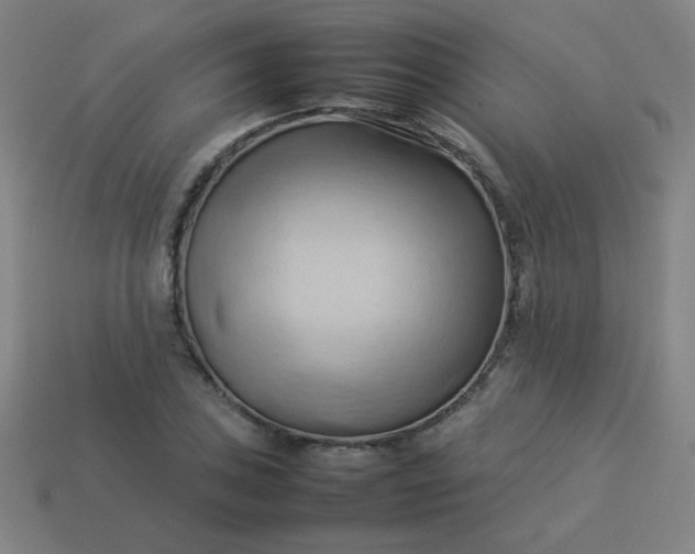 X0000114061027200910191457