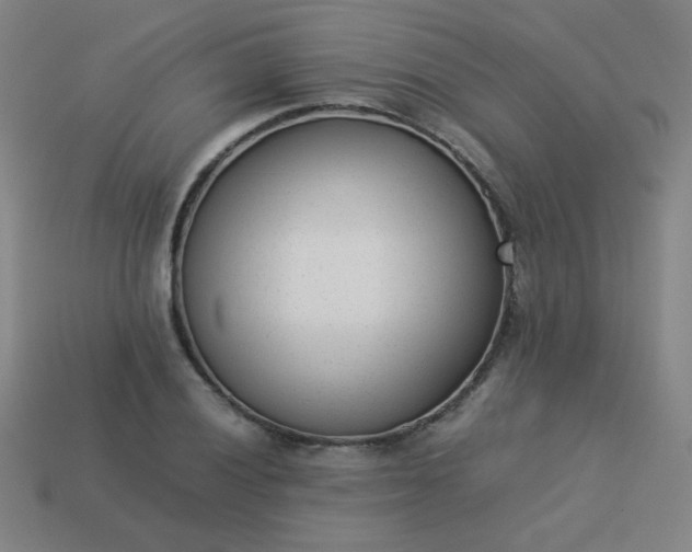 X0000114061028200910191457