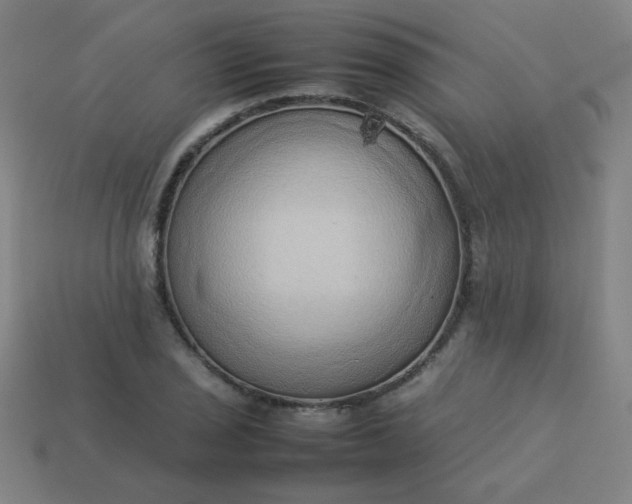 X0000114061029200910191457