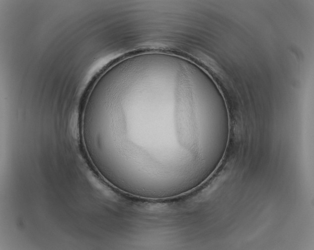 X0000114061030200910191457