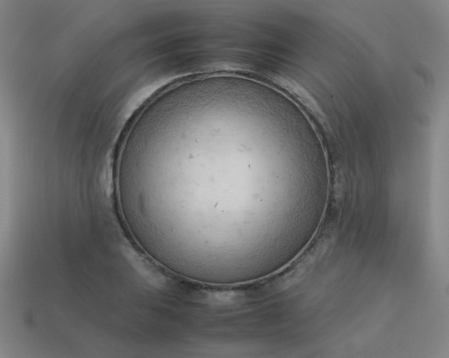 X0000114061031200910191457