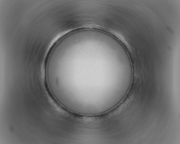 X0000114061032200910191457