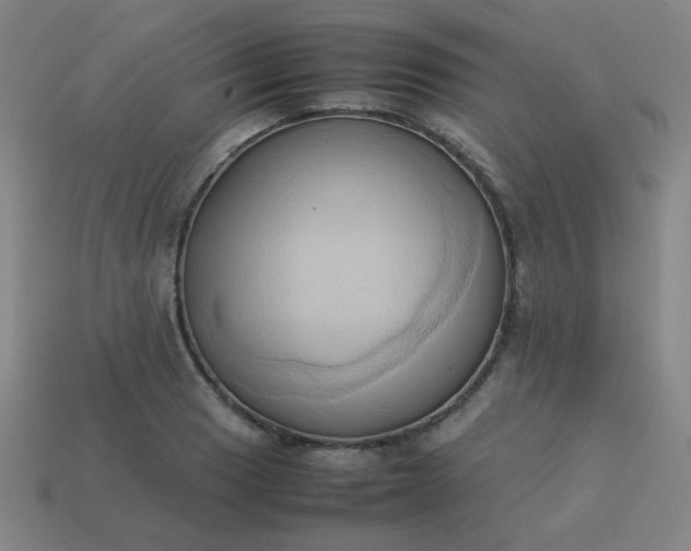 X0000114061033200910191457