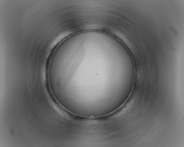 X0000114061034200910191457