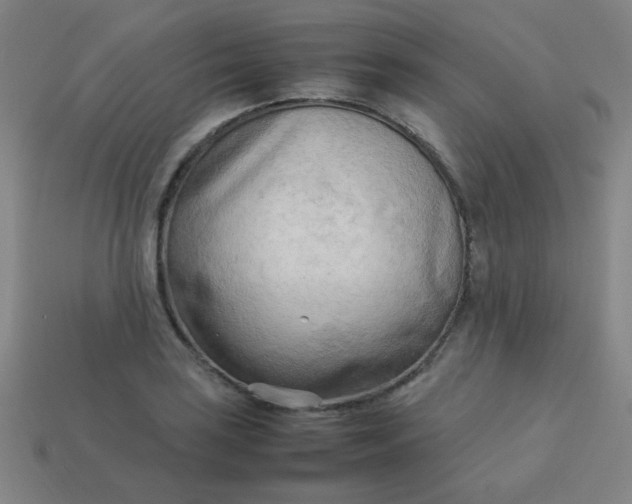 X0000114061035200910191457