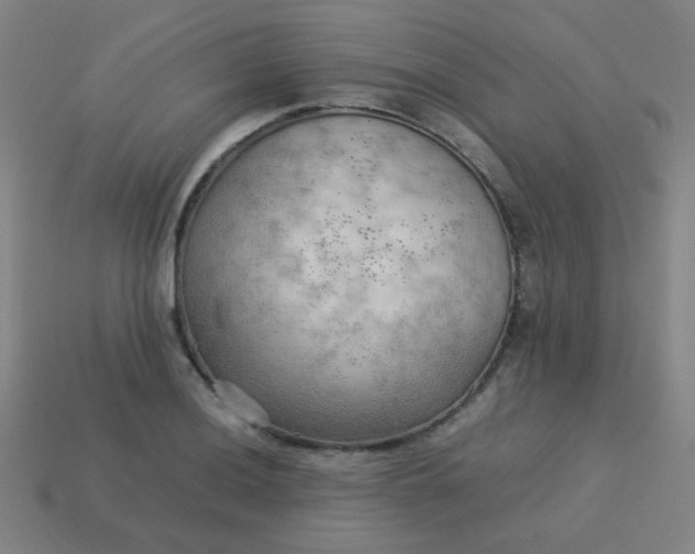 X0000114061036200910191457