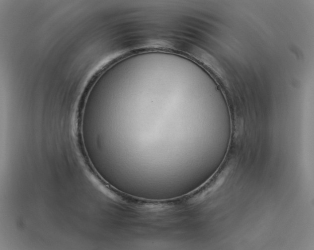 X0000114061037200910191457