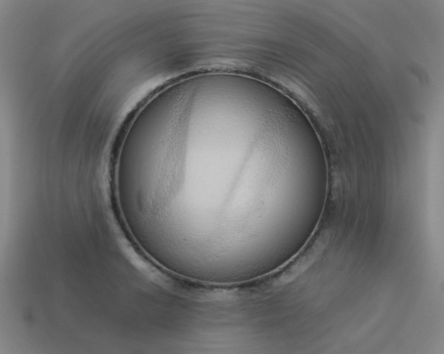 X0000114061038200910191457