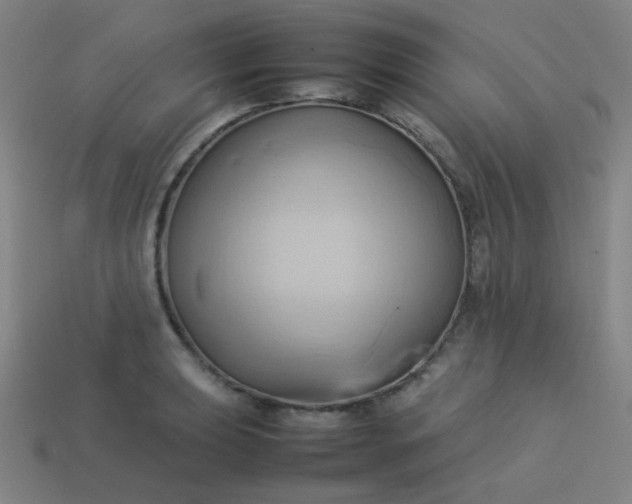 X0000114061039200910191457